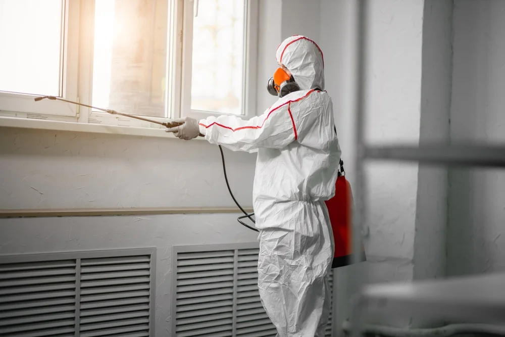 Professional mold remediation services in Awendaw, SC